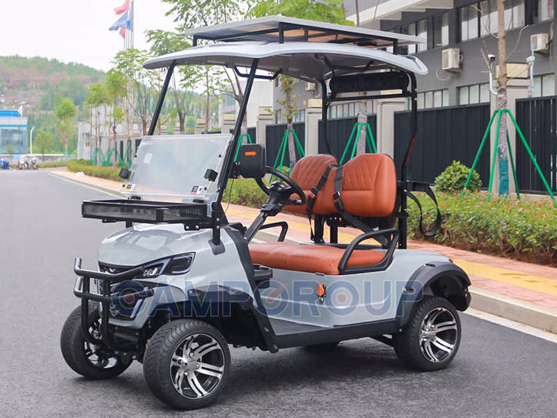 2-zits elektrische golfkar grijs