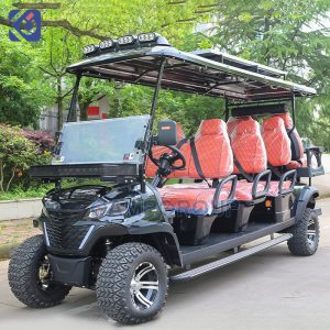 Custom Golf Cart Manufacturer Mexico | 6+2 Seat Electric Golf Cart