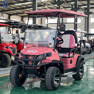 Custom Electric Golf Carts Australia | 2-10 Seat Golf Cart Manufacturer