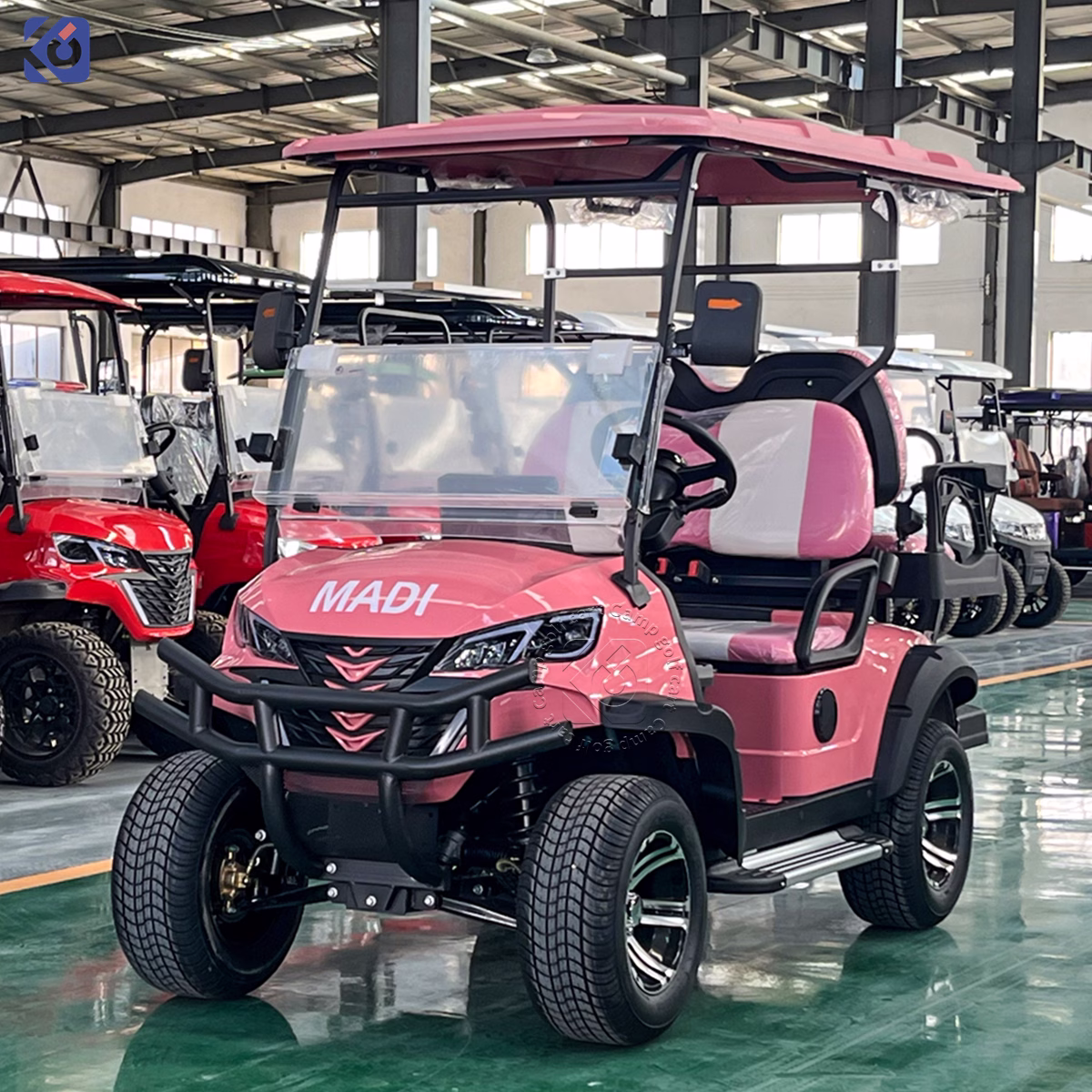 Kundenspezifische elektrische Golfwagen Australien | Hersteller von Golfwagen mit 2 bis 10 Sitzplätzen