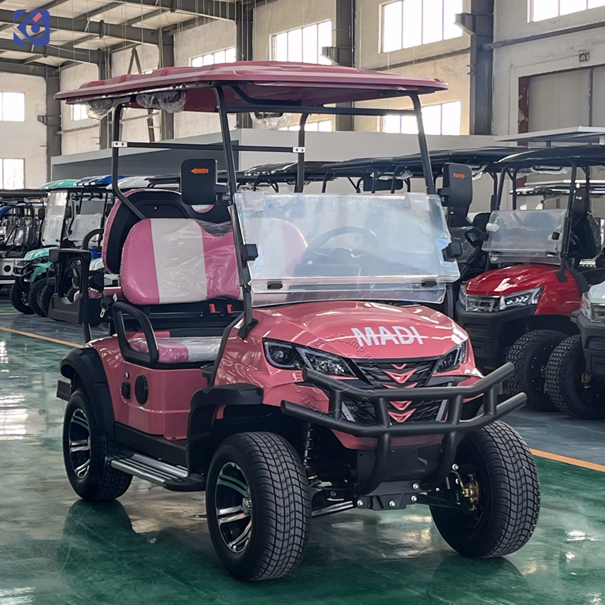 Custom Electric Golf Carts Australia | 2-10 Seat Golf Cart Manufacturer – Bild 7