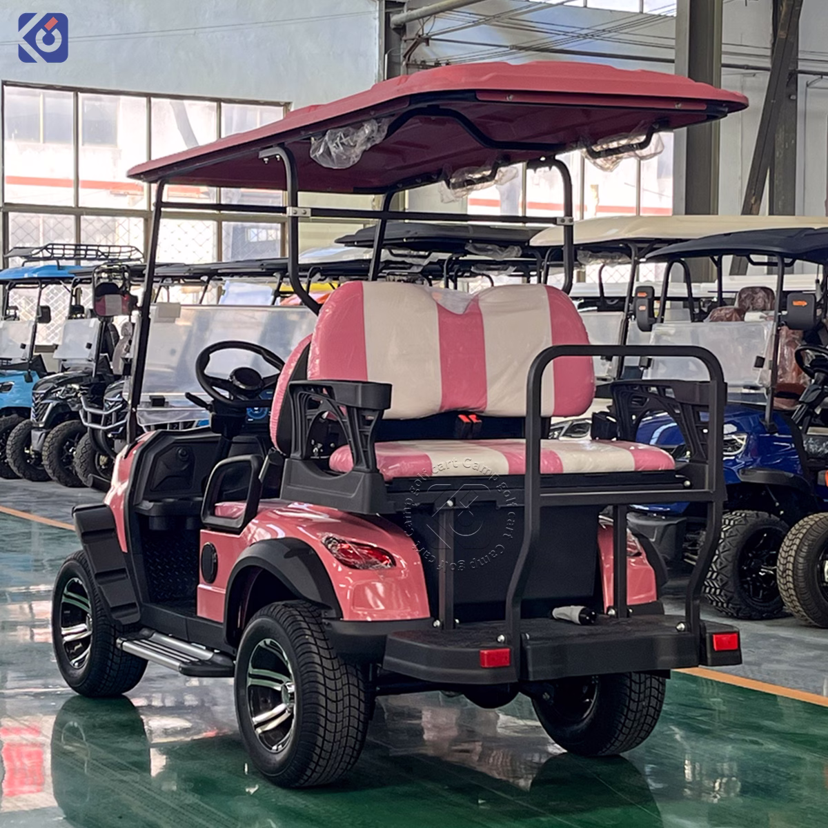 Custom Electric Golf Carts Australia | 2-10 Seat Golf Cart Manufacturer – Bild 4