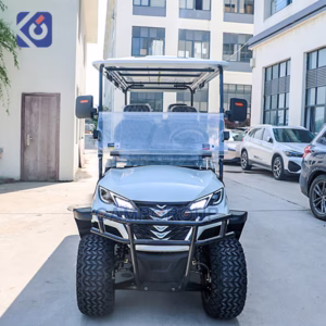 Voiturettes de golf électriques personnalisées à 6 places à vendre aux États-Unis