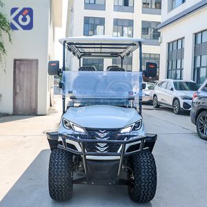 Custom 6 Seat Electric Golf Carts for Sale in USA