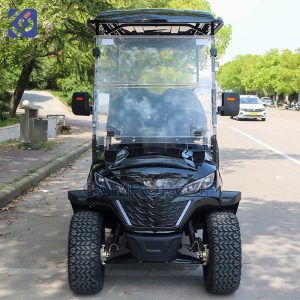 Custom 6-Seater Electric Golf Cart for Mexico Resorts, Communities & Golf Courses