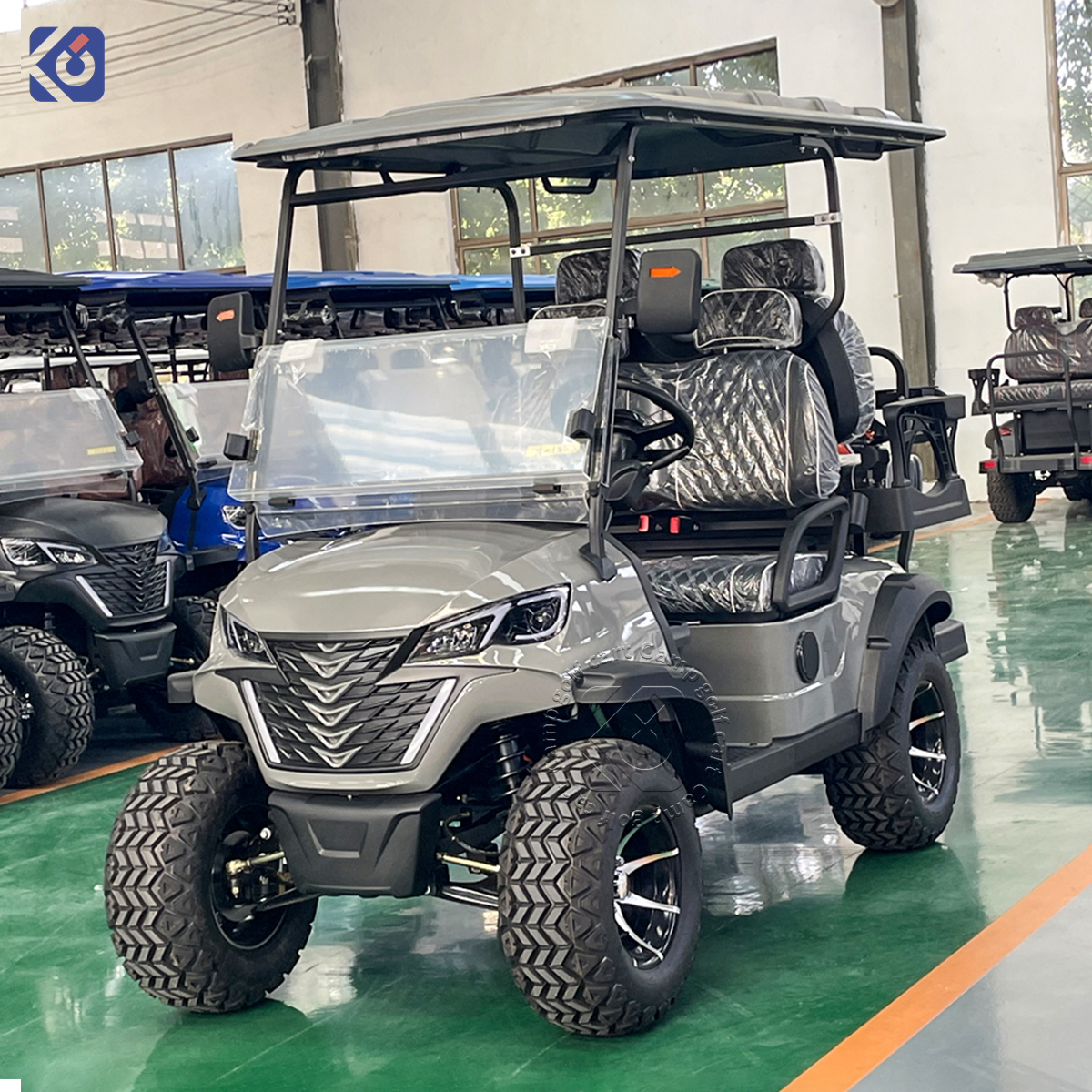 Custom 4-Seater Electric Golf Cart for Honduras & North America - Afbeelding 2