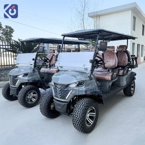 Custom Electric Golf Carts for Golf Courses, Resorts & Commercial Use