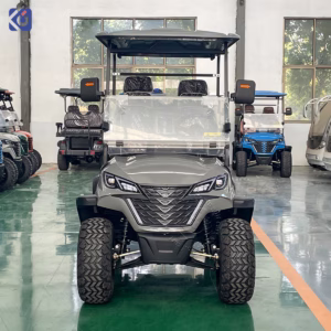 Custom 4-Seater Electric Golf Cart for Honduras & North America