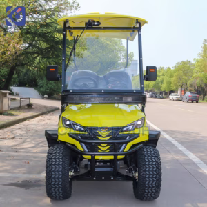 2 Seater Electric Golf Cart for Australia | Custom Golf Buggy Manufacturer