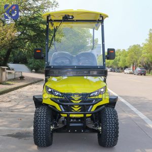 2 Seater Electric Golf Cart for Australia | Custom Golf Buggy Manufacturer