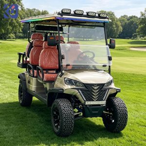Custom 4-Seater Electric Golf Cart for Canada | Luxury Lithium Utility Vehicle
