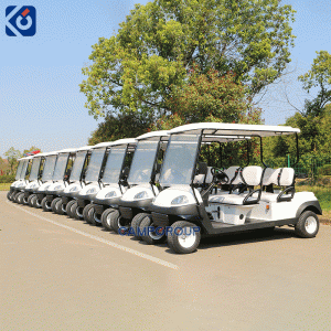 Custom Patrol, Ambulance & Sightseeing Golf Carts for USA Parks and Resorts