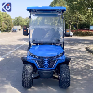 Custom 4-Seater Electric Golf Cart for Guatemala Parks, Resorts & Communities