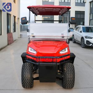 Voiturette de golf électrique 4 places personnalisée pour les États-Unis | Véhicule utilitaire de rue et de villégiature