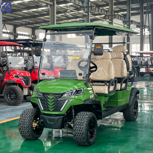 6-Seater Custom Electric Golf Cart for Parks, Resorts & Courses in Nicaragua