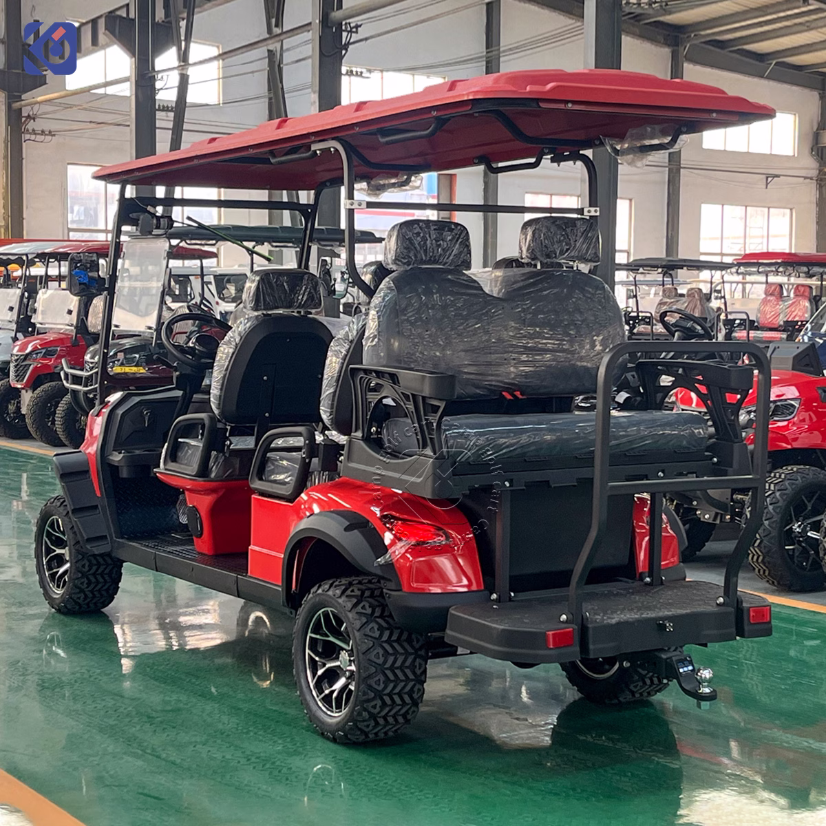 Custom 6-Seat Golf Cart for Bahamas | Premium Electric Golf Cart Manufacturer – Bild 4