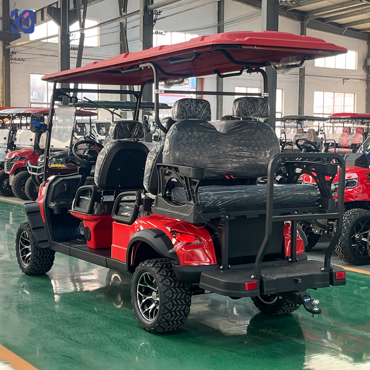 Custom 6-Seat Golf Cart for Bahamas | Premium Electric Golf Cart Manufacturer - Image 4