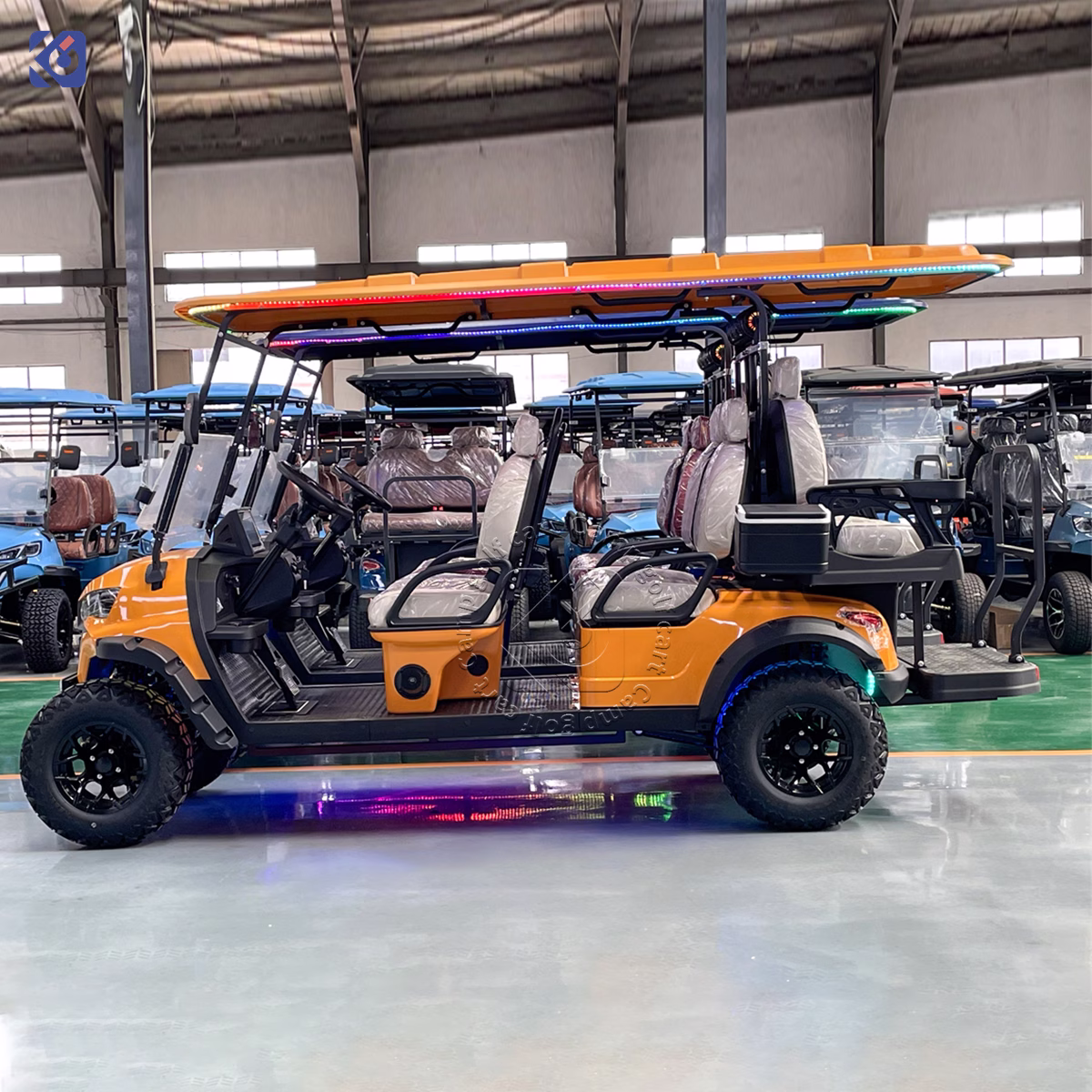 Custom Golf Cart Manufacturer for Dominican Republic & North America | Electric, Lithium & Gas Golf Carts – Bild 3
