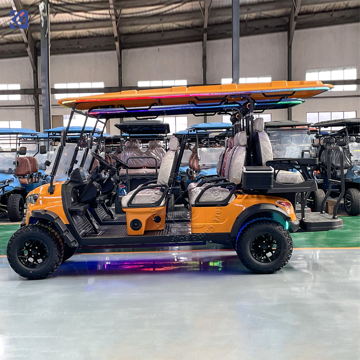Custom Golf Cart Manufacturer for Dominican Republic & North America | Electric, Lithium & Gas Golf Carts - Image 3