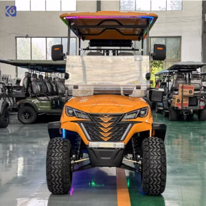 Custom Golf Cart Manufacturer for Dominican Republic & North America | Electric, Lithium & Gas Golf Carts