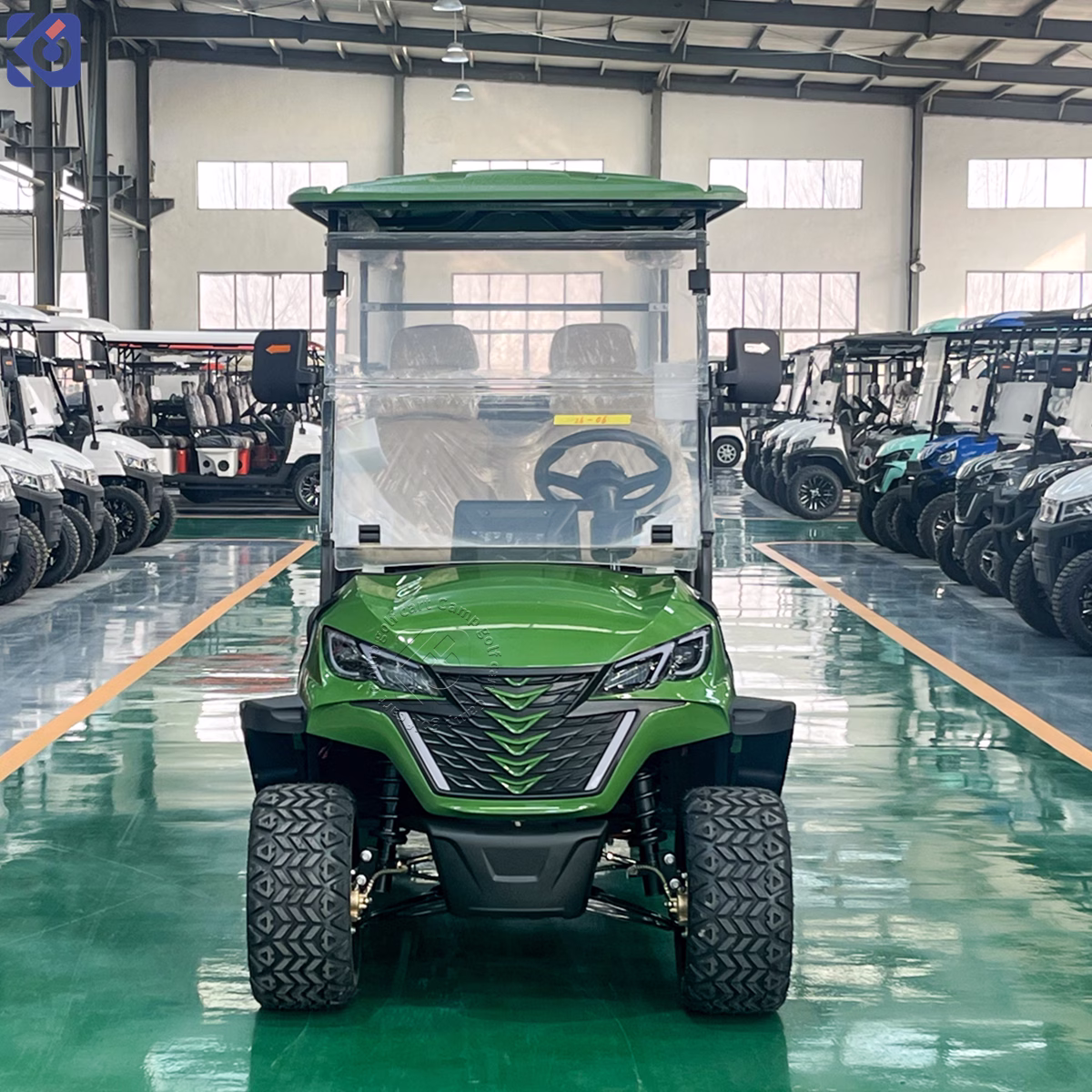 6-Seater Custom Electric Golf Cart for Parks, Resorts & Courses in Nicaragua – Bild 2