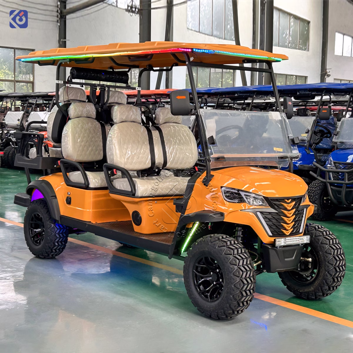 Custom Golf Cart Manufacturer for Dominican Republic & North America | Electric, Lithium & Gas Golf Carts – Bild 7