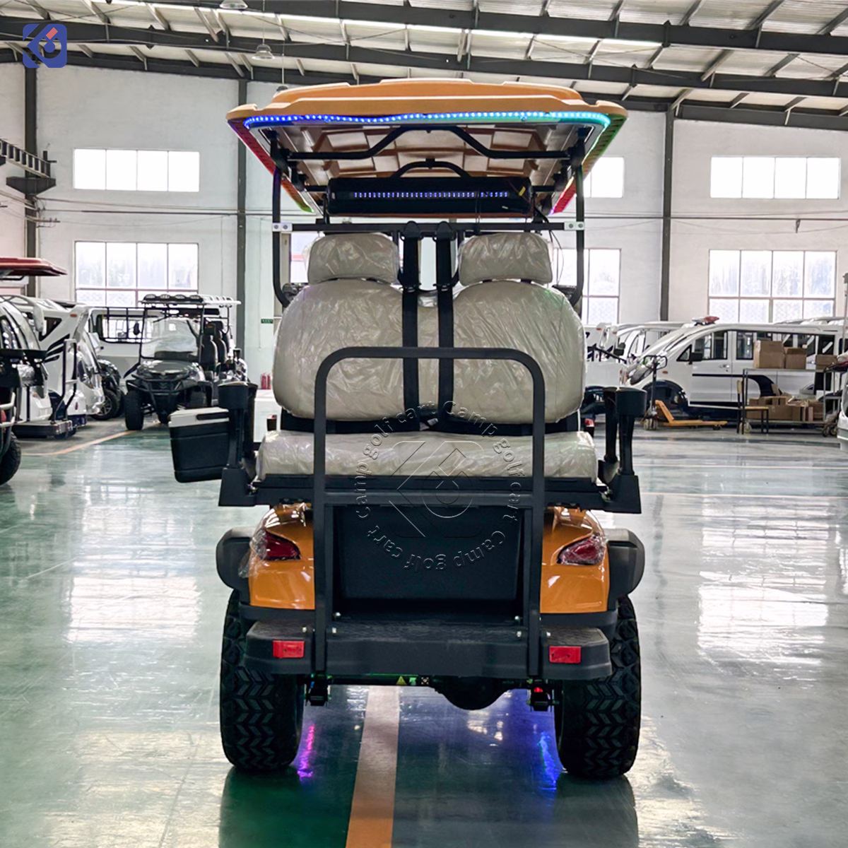 Custom Golf Cart Manufacturer for Dominican Republic & North America | Electric, Lithium & Gas Golf Carts – Bild 5