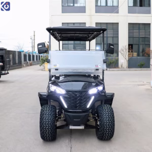 Custom 6-Seater Golf Cart for Jamaica | Long-Range Lithium Power