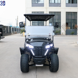 Custom 6-Seater Golf Cart for Jamaica | Long-Range Lithium Power