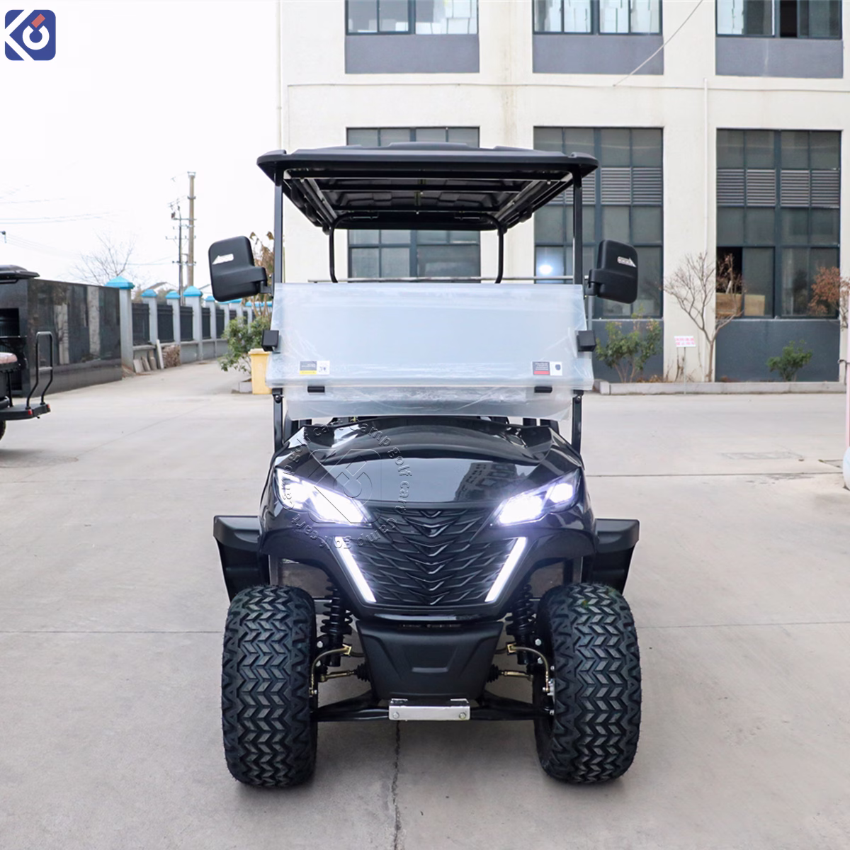 Maßgeschneiderter 6-Sitzer-Golfwagen für Jamaika | Lithium-Energie mit großer Reichweite