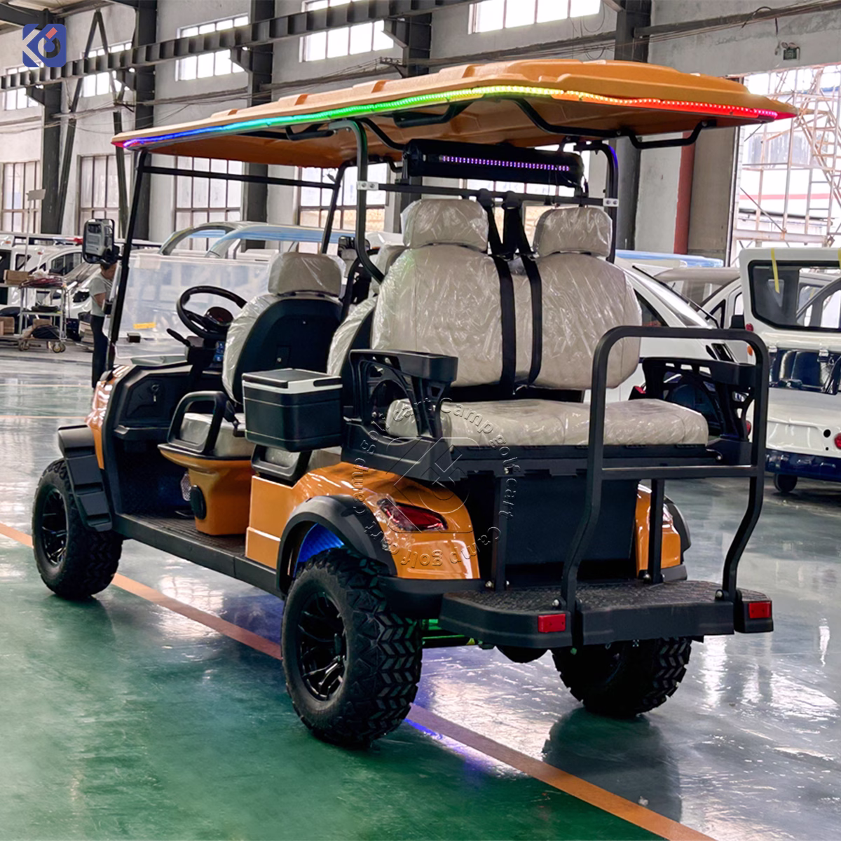 Custom Golf Cart Manufacturer for Dominican Republic & North America | Electric, Lithium & Gas Golf Carts – Bild 4