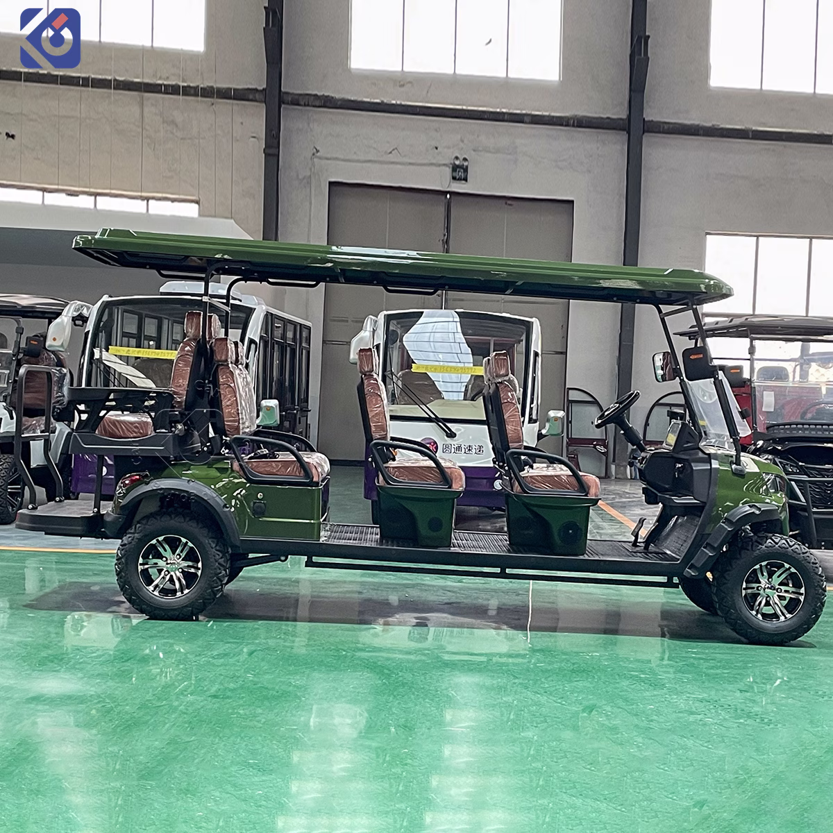 Custom Electric Golf Carts for Barbados and North America – Bild 3