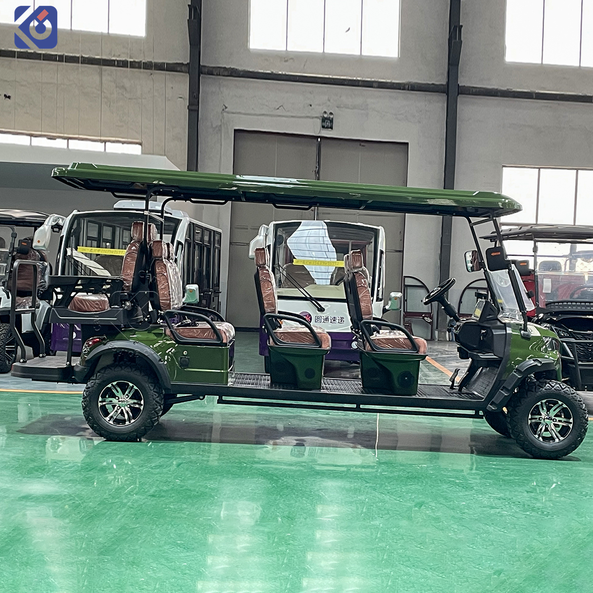 Custom Electric Golf Carts for Barbados and North America - Image 3