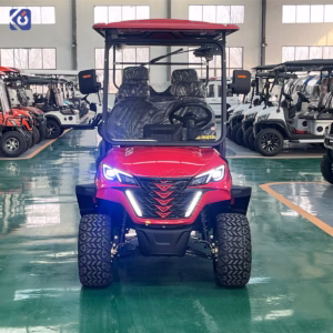 Custom 6-Seat Golf Cart for Bahamas | Premium Electric Golf Cart Manufacturer