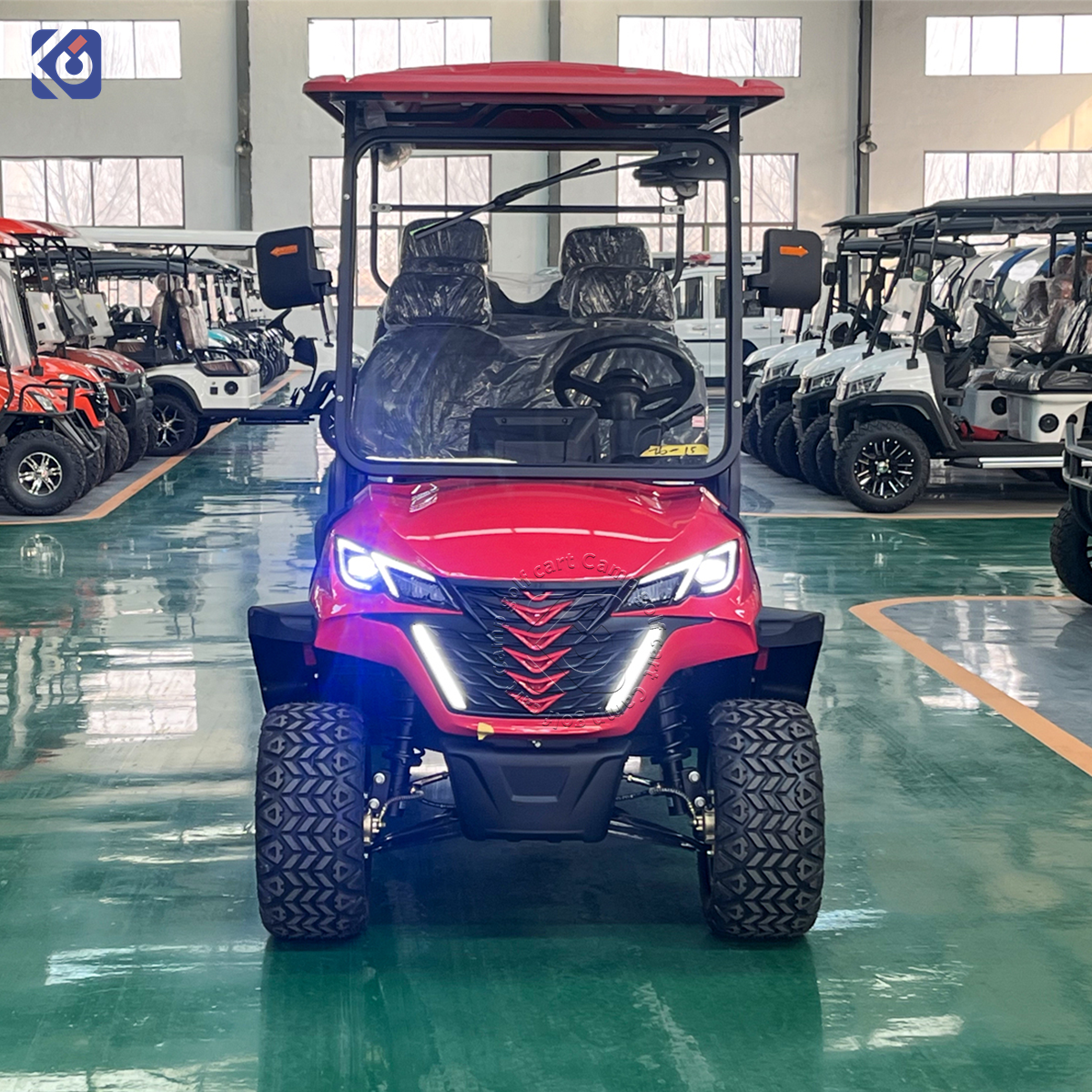 Custom 6-Seat Golf Cart for Bahamas | Premium Electric Golf Cart Manufacturer