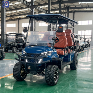 Carros de golf eléctricos en Trinidad y Tobago | Carros de golf personalizados de 2 a 10 asientos