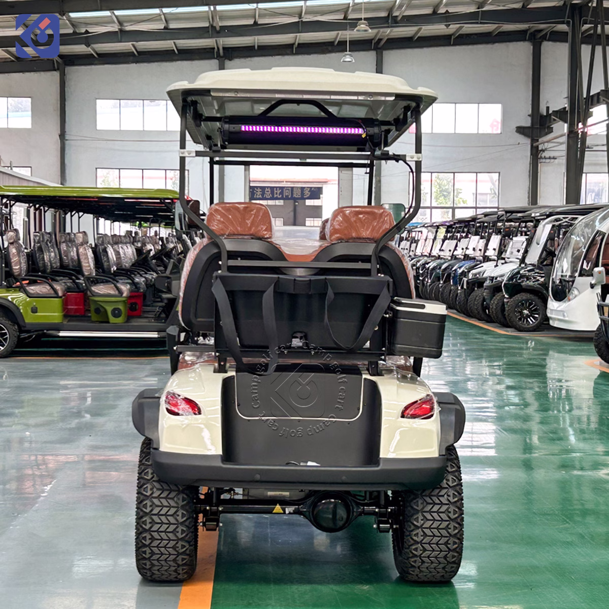 Custom 4-Seater Golf Cart for Saint Lucia | Factory-Built Electric & Gas Models – Bild 4