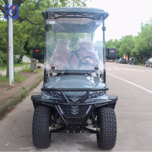 Custom 6 Seater Lithium Golf Cart for Resorts, Parks & Airport Transport