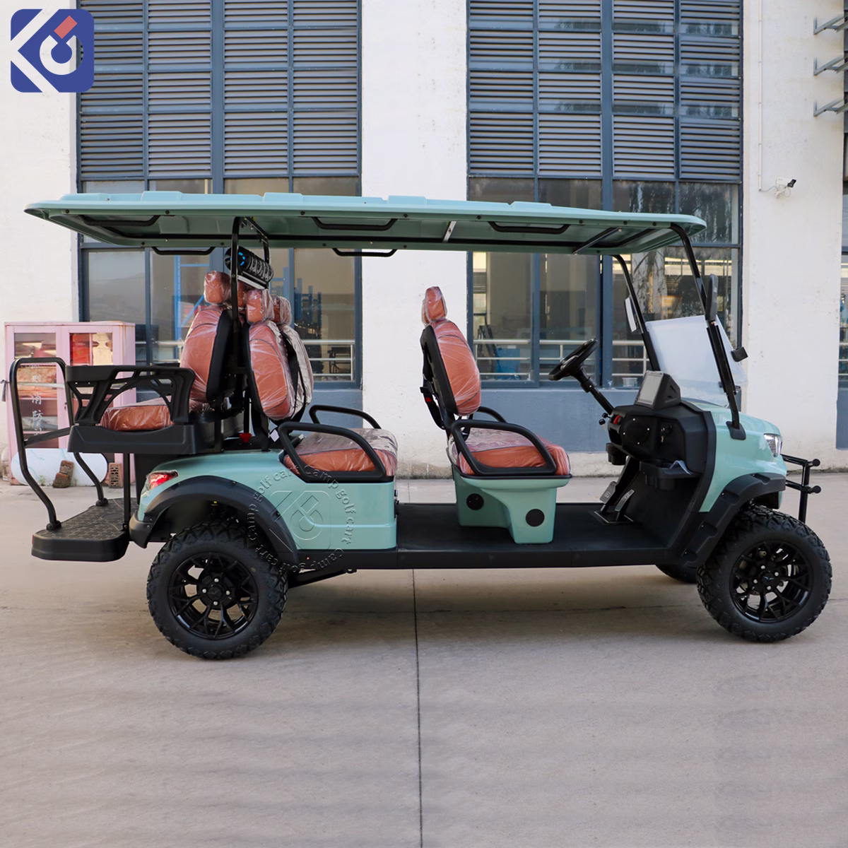 Custom Electric & Gas Golf Carts for Grenada and North America – Bild 9
