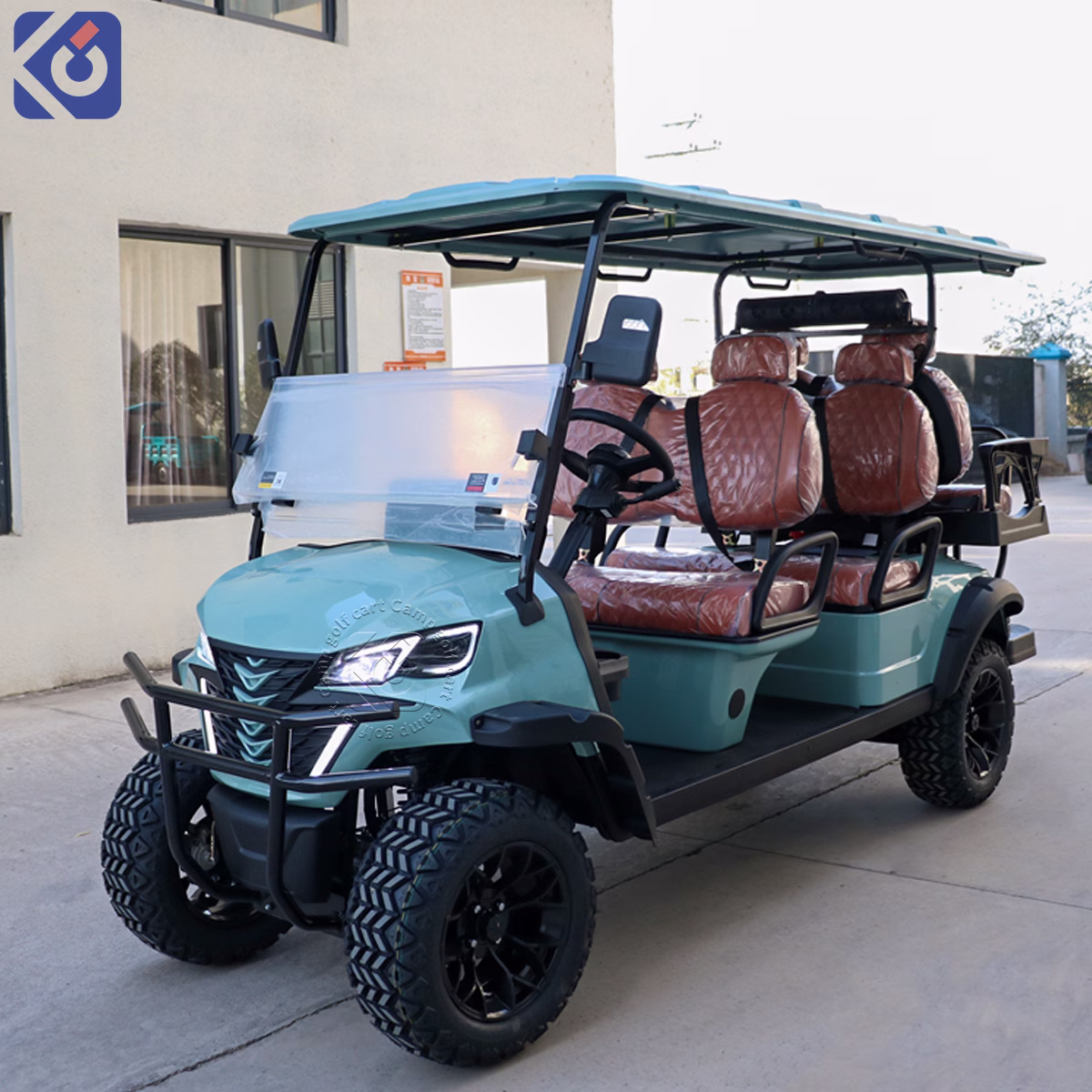 Custom Electric & Gas Golf Carts for Grenada and North America – Bild 2