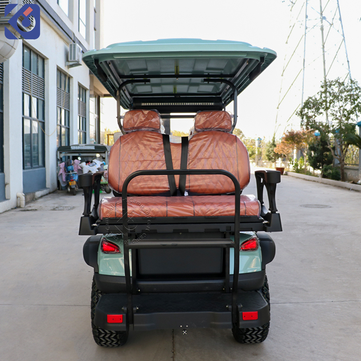 Custom Electric & Gas Golf Carts for Grenada and North America - Image 6
