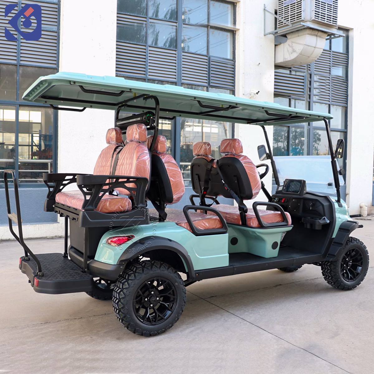 Custom Electric & Gas Golf Carts for Grenada and North America – Bild 8