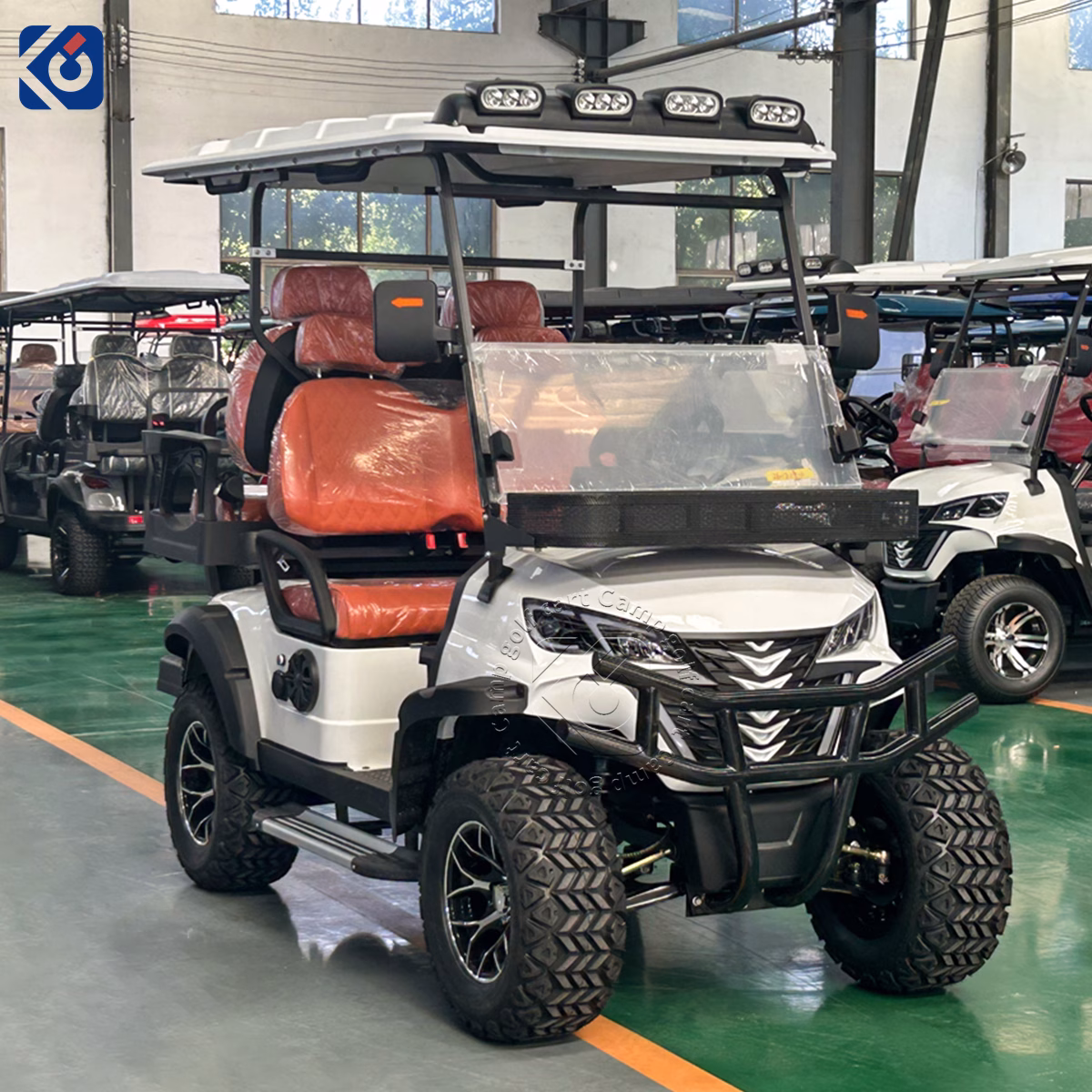 Custom 4 Seater Electric Golf Cart for Switzerland - Image 8