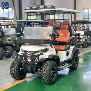 Custom 4 Seater Electric Golf Cart for Switzerland