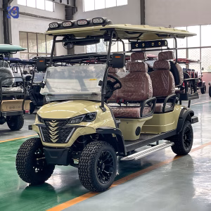 Custom 6-Seater Electric Golf Cart for Resorts, Hotels & Commercial Use