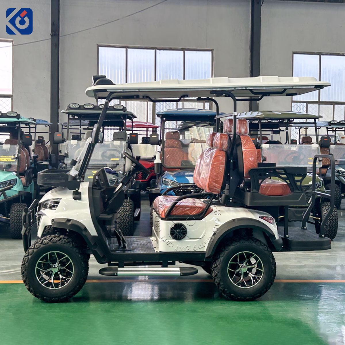 Custom 4 Seater Electric Golf Cart for Switzerland - Image 4