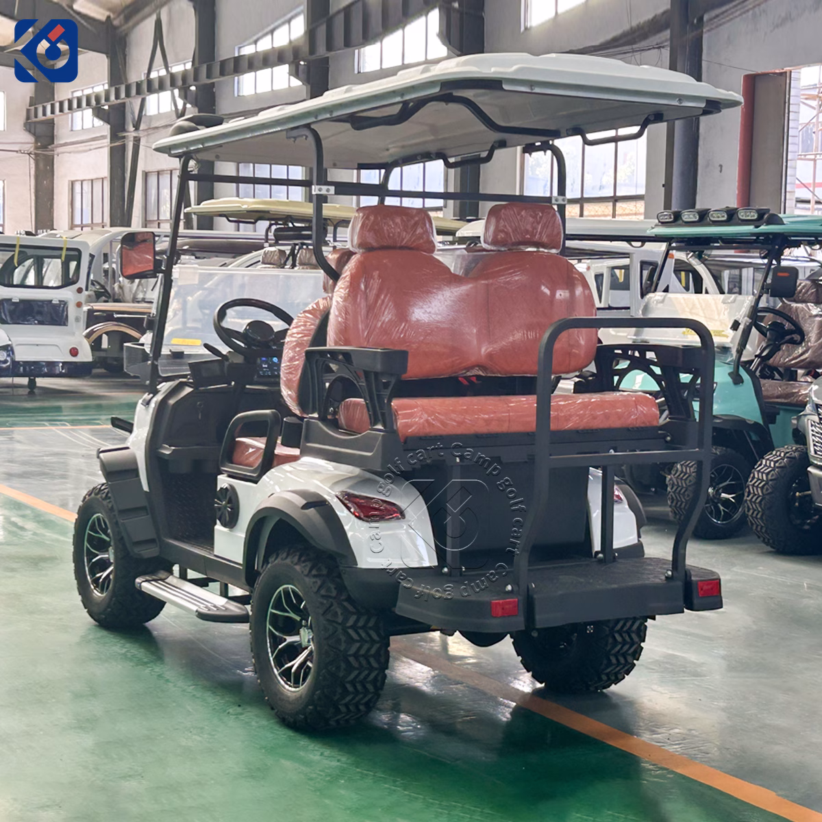 Custom 4 Seater Electric Golf Cart for Switzerland - Image 5