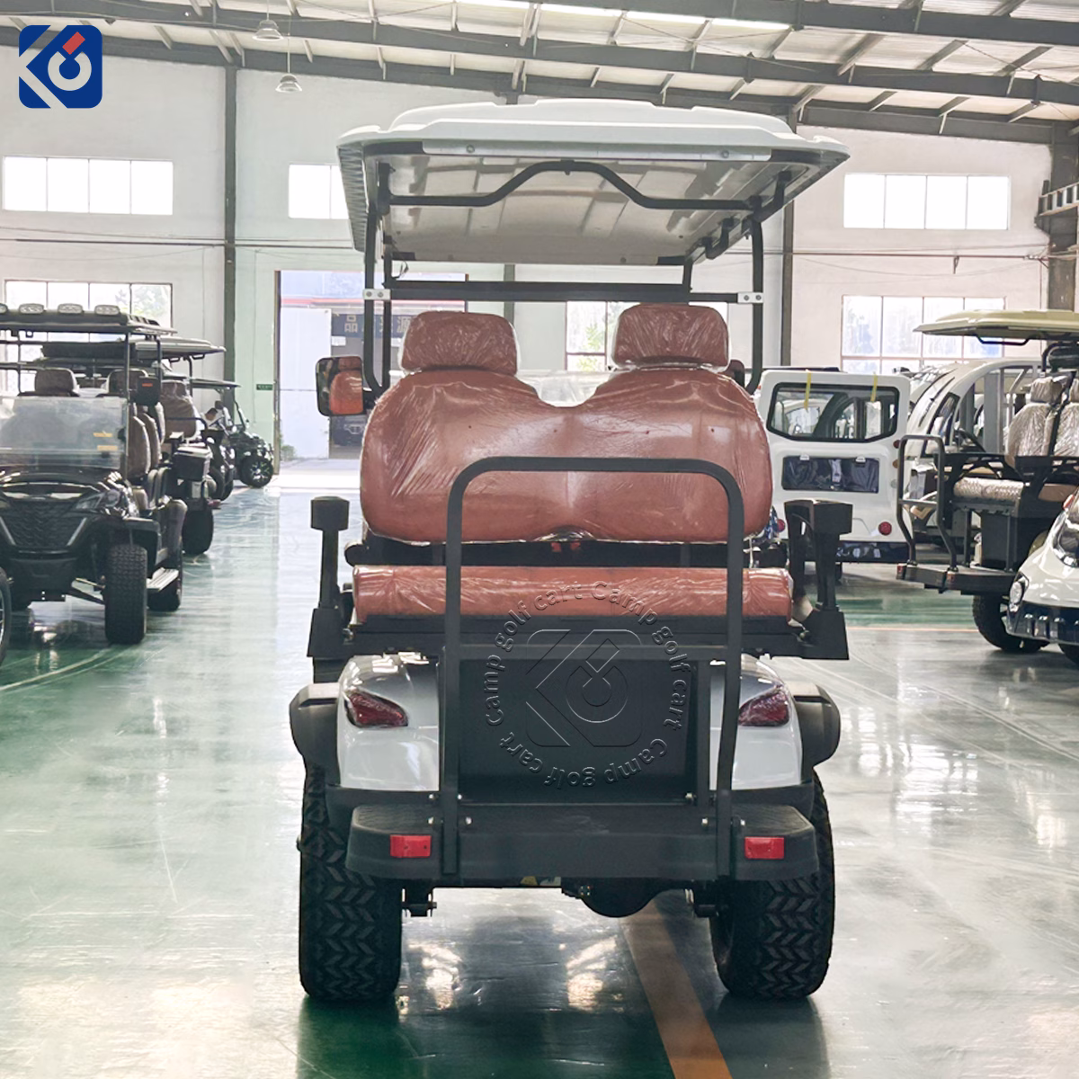 Custom 4 Seater Electric Golf Cart for Switzerland - Image 6