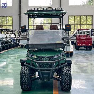 Custom 6-Seater Golf Cart for Resorts, Golf Courses & Commercial Transportation