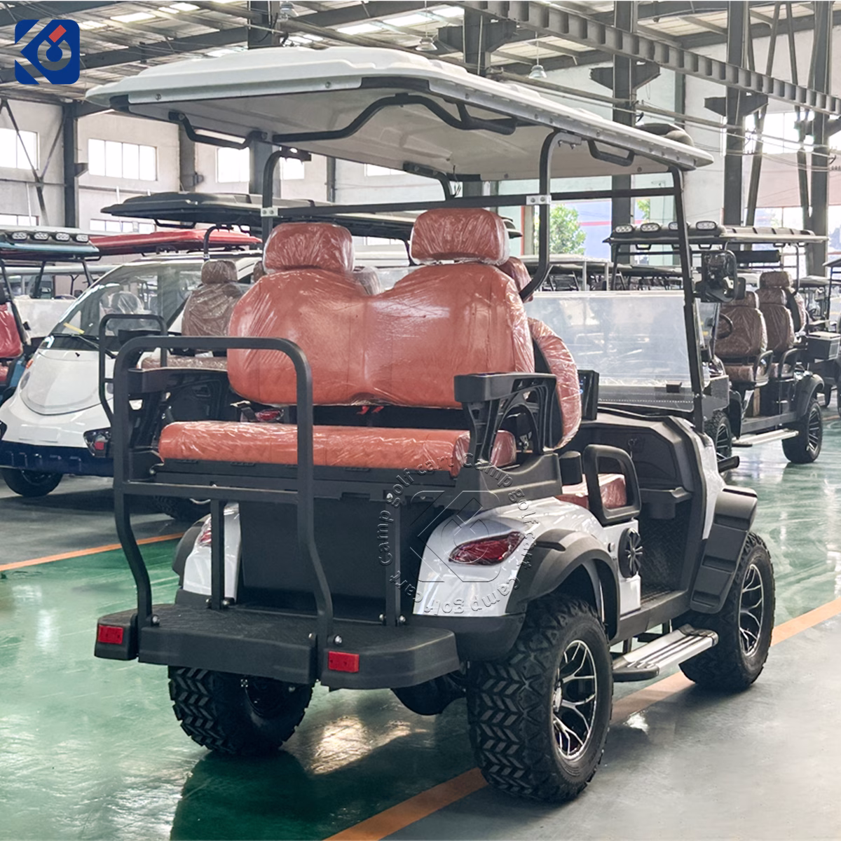Custom 4 Seater Electric Golf Cart for Switzerland - Image 7